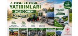 HİBE PROJELERİ